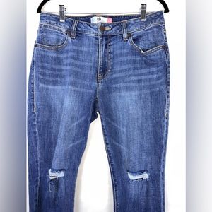 CAbi Jeans Cropped High-Rise Straight Jeans 8